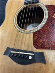 TAYLOR GUITARS GS MINI